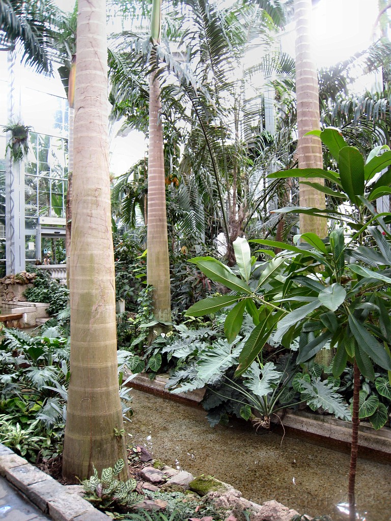 Wash DC 2009 4345.jpg - A 4th of July trip to Washington DC in 2009 to see the museums, memorials and fireworks.